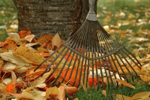 Cura del giardino in autunno